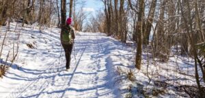 person with a red hat and green jacket walking down a snowy, wooded path