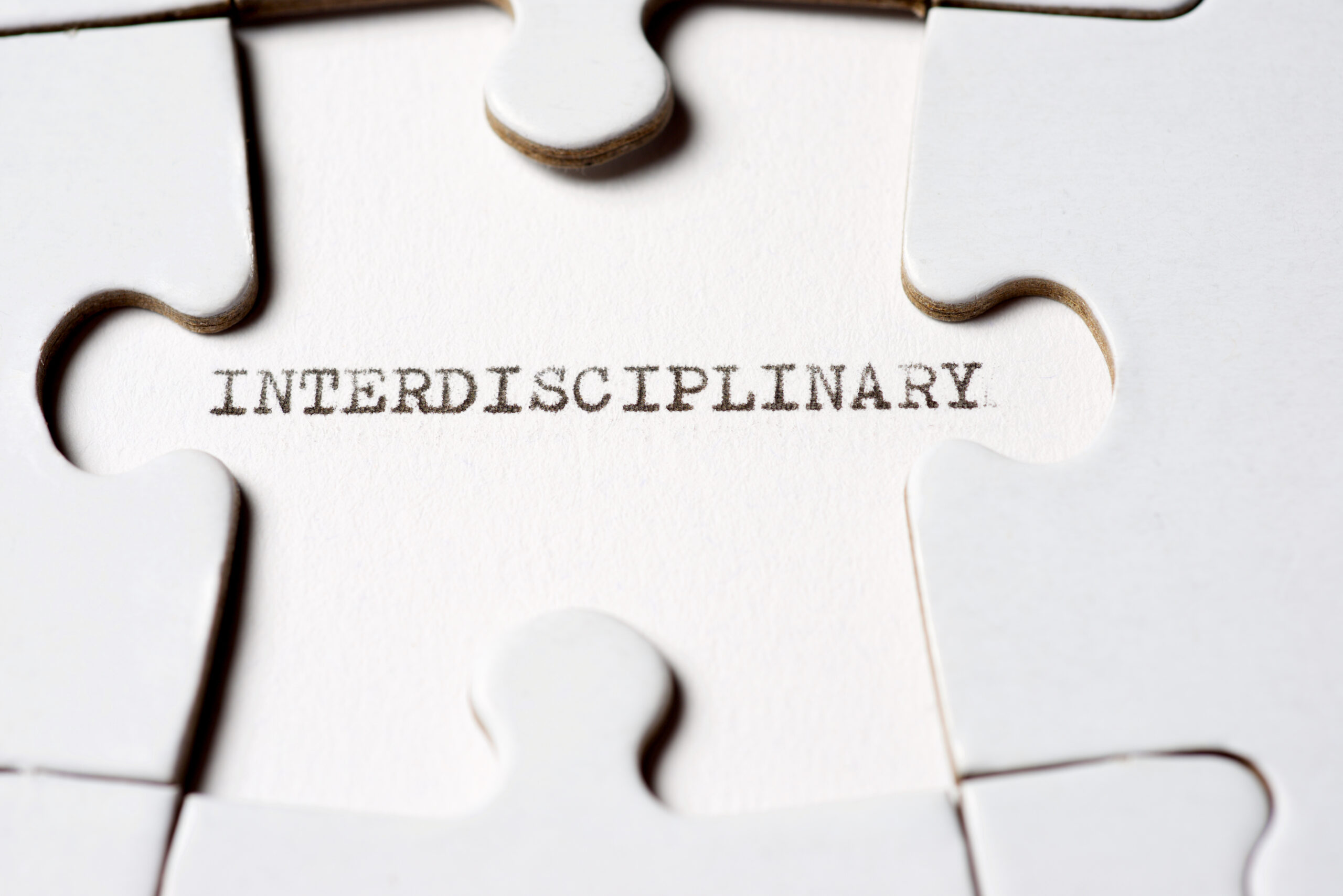 Interdisciplinary text written with a typewriter in a white puzzle